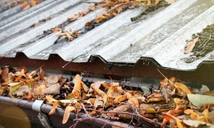 Brisbane Residents Advised to Prepare for Severe Weather Triple Threat.