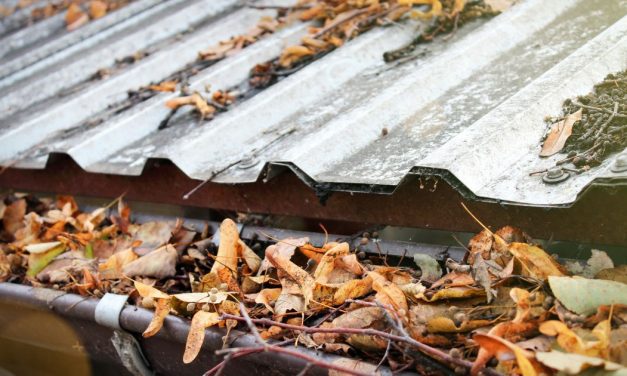 Brisbane Residents Advised to Prepare for Severe Weather Triple Threat.