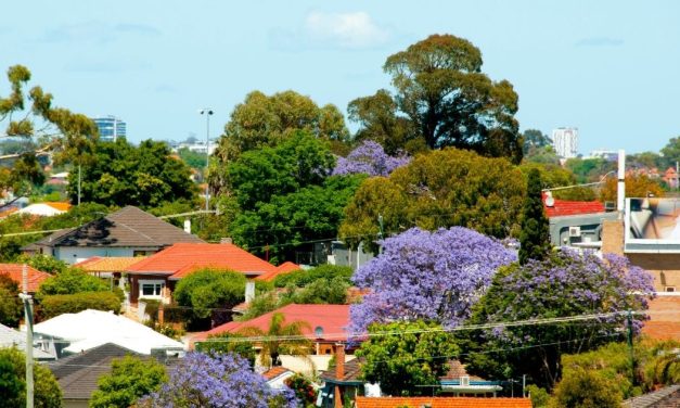 Are NIMBYs (Not in My Backyard folk) really to blame for the current lack of social and affordable