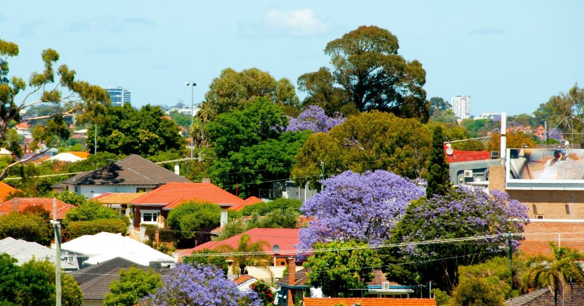 Are NIMBYs (Not in My Backyard folk) really to blame for the current lack of social and affordable