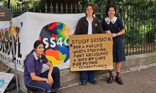 Students hold ‘study-in’ outside Queensland Parliament in climate strike for their future.