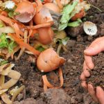 West End part of Council’s expanded food waste recycling plan.