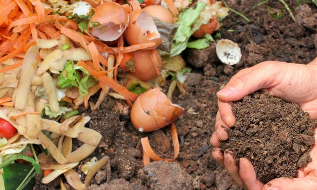 West End part of Council’s expanded food waste recycling plan.