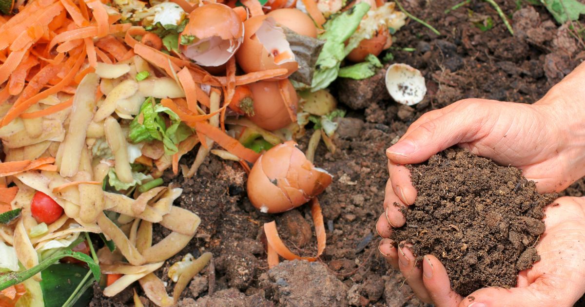 West End part of Council’s expanded food waste recycling plan.