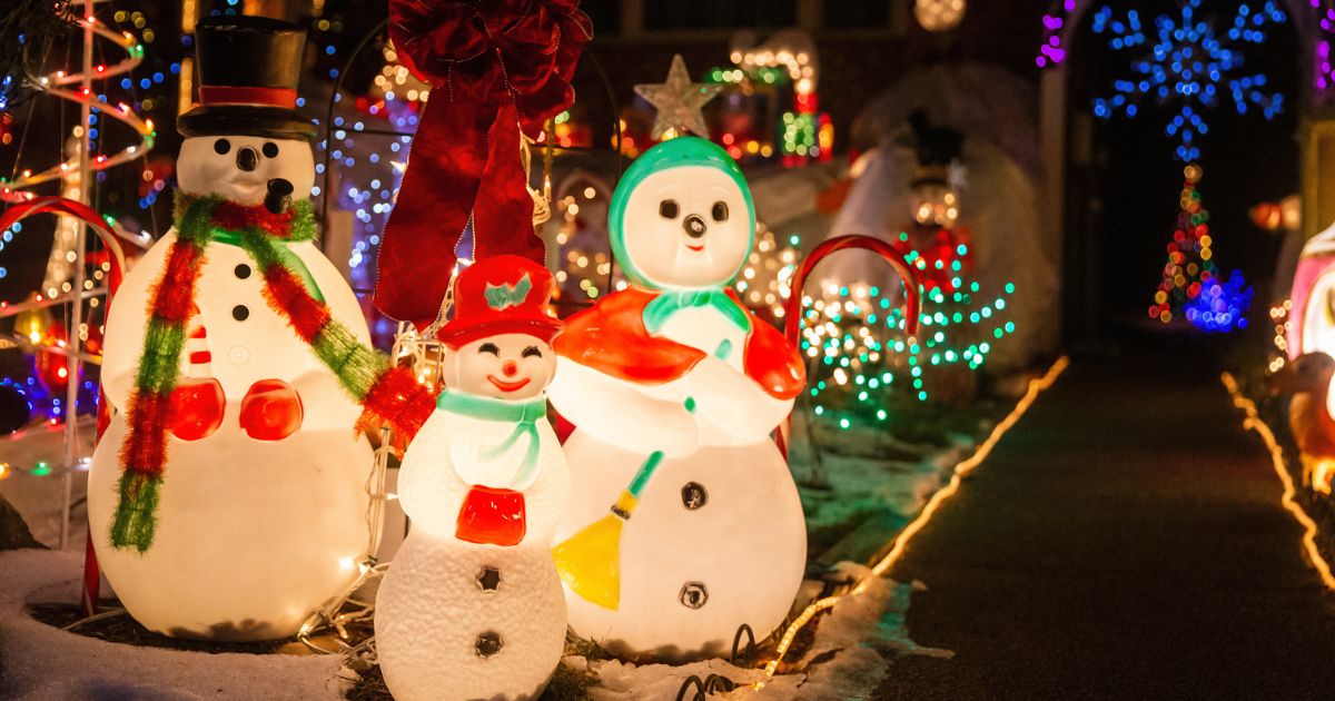 8 ways to tone down the Christmas lights to help wildlife – and why we should.