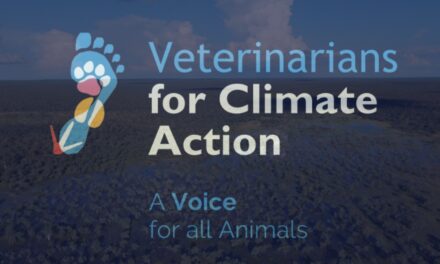 Aussie vets working with Indian colleagues to tackle climate change